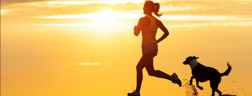 ejercicio perros